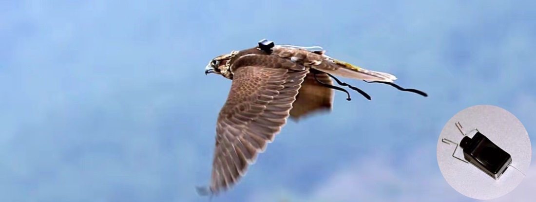 20 17060607285 7_42388