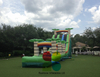 Commercial Long Inflatable Tropical Water Slide 