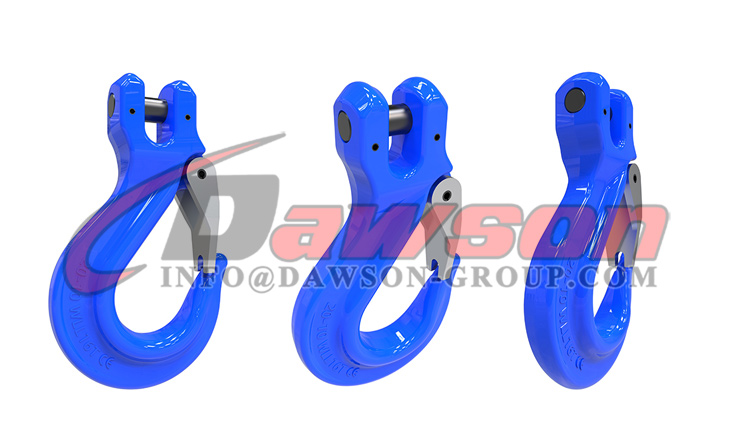 DS1019 G100 Грейферный крюк с головкой и литой защелкой - Dawson Group Ltd. - Китайский завод, поставщик