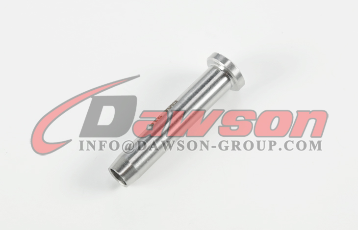 AISI316 ステンレス鋼ドーム ヘッド端子、ステンレス鋼 304 - Dawson Group Ltd. - 中国メーカー、工場、サプライヤー