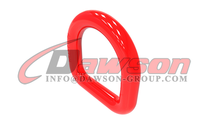 Anillo en D forjado DS406 grado 80 - Dawson Group Ltd. - Fabricante, proveedor y f&aacute;brica de China