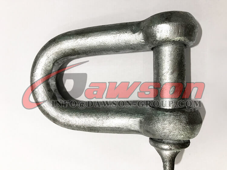 Galv. comercial tipo europeo de 25 mm.Dee Shackle - Dawson Group Ltd. - Fabricante, proveedor y f&aacute;brica de China