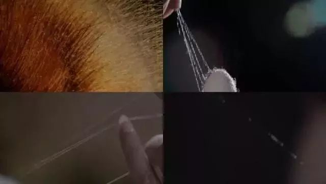 繡花線