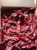 Sweet Paprika Powder (80 Asta) 
