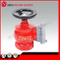 16K50 Indoor Fire Hydrant for Vietnam Market