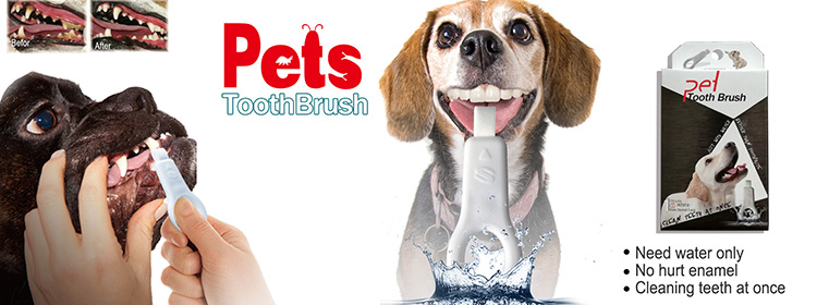 lfsponge Pet Toothbrush remove dog tooth stains fastly lfsponge Pet Toothbrush remove dog tooth stains fastly
