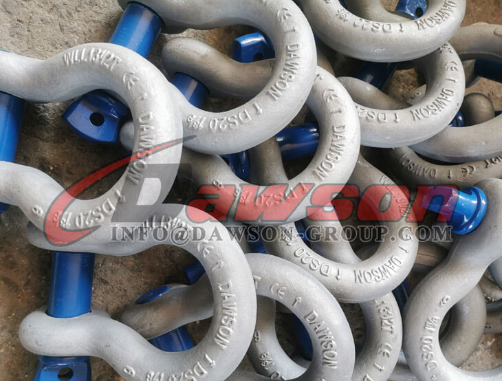 S6 スクリュー ピン アンカー シャックル - Dawson Group Ltd. - 中国メーカー、サプライヤー