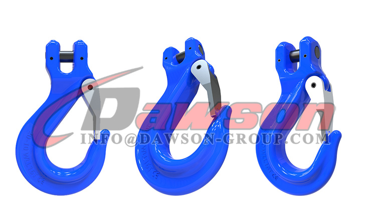 DS1019 G100 Грейферный крюк с литой защелкой - Dawson Group Ltd. - Китайский производитель, завод, поставщик
