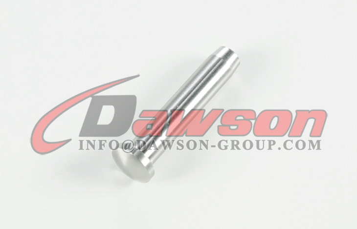 AISI316 ステンレス鋼ドーム ヘッド端子、ステンレス鋼 304 - Dawson Group Ltd. - 中国メーカー、工場