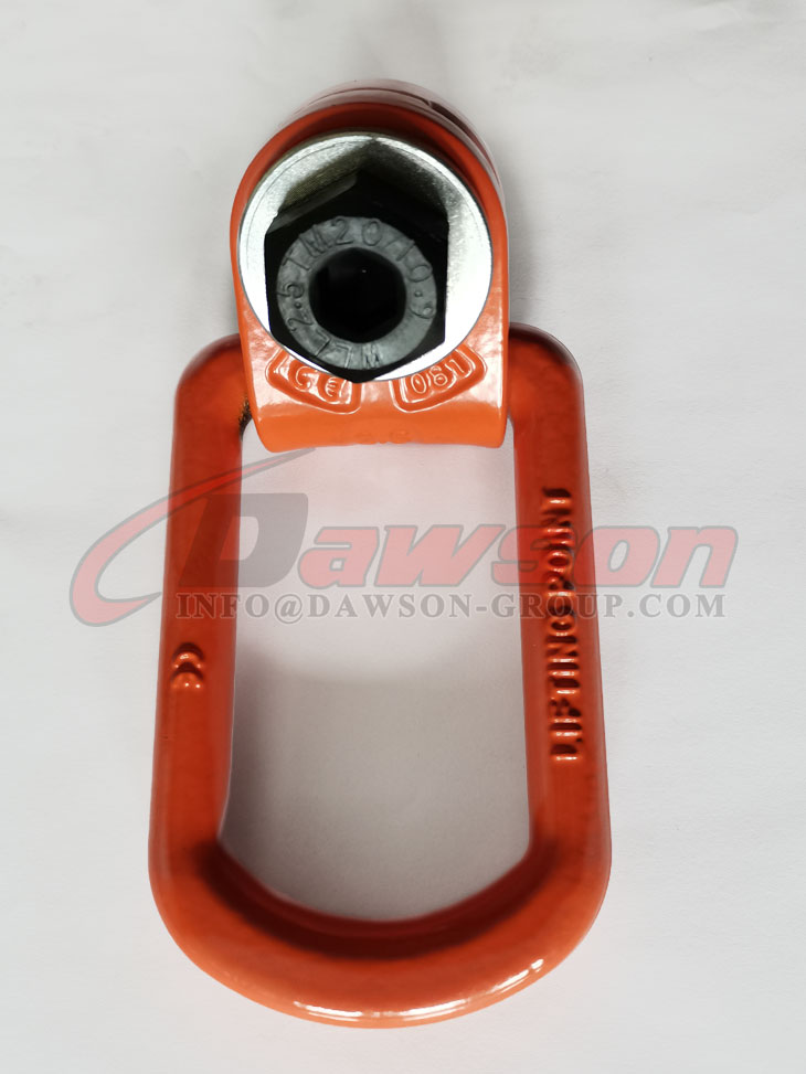 DS173 G80 ピボットリフティングネジ - Dawson Group Ltd. - 中国メーカー、サプライヤー