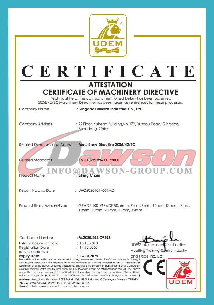 Certificado CE de cadena de elevaci&oacute;n G80 de grado 100 - Fabricante, proveedor y f&aacute;brica de China