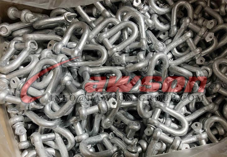 Galv comercial tipo europeo.Dee Shackle - Dawson Group Ltd. - Proveedor, fabricante, f&aacute;brica de China