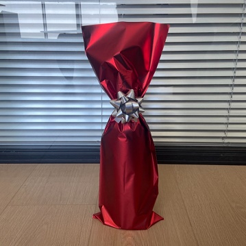 Aluminized Gift Bag