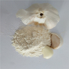 2019 Air Dehydrated Garlic Powder 100-120mesh 
