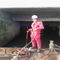 Marine Ship Ballast Tank Anodes Zinc Anodes Sacrificial Anode for Cathodic Protection/Sacrificial Magnesium Anode/ Sacrificial Aluminum Anodes