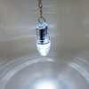 Deep Drop LED Fishing Light with Snap Clip 