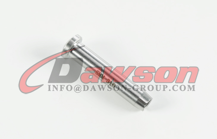 ステンレス鋼 304、AISI316 ステンレス鋼ドーム ヘッド端子 - Dawson Group Ltd. - 中国メーカー、サプライヤー