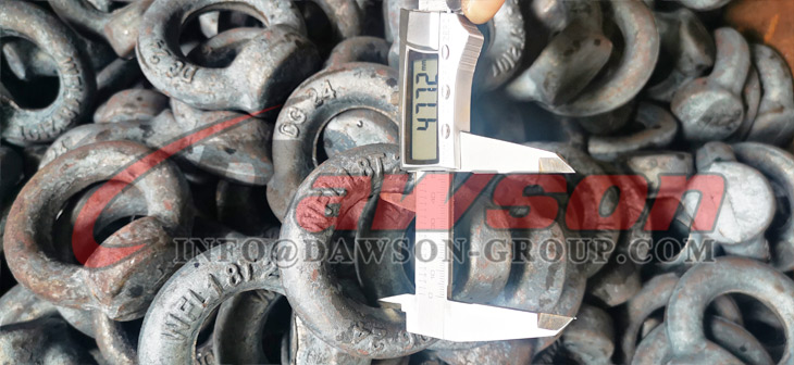 Tuerca de ojo de elevaci&oacute;n DIN582 forjada por estampaci&oacute;n - Dawson Group Ltd. - Fabricante, proveedor, f&aacute;brica de China