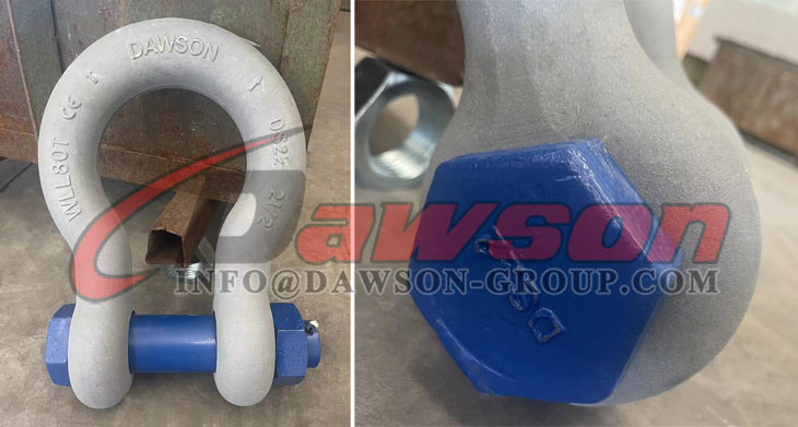 Grillete de anclaje tipo perno tipo EE. UU., Grillete de arco con pasador y tuerca de seguridad, Grillete de arco tipo perno S6 - Dawson Group Ltd. - Fabricante, proveedor y f&aacute;brica de China