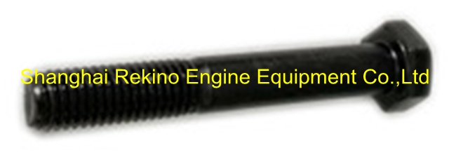 3929537 Cylinder head screw cap Cummins 6CT engine parts 