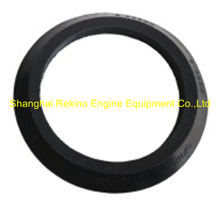 3160924 Dush seal KTA19 Cummins engine parts