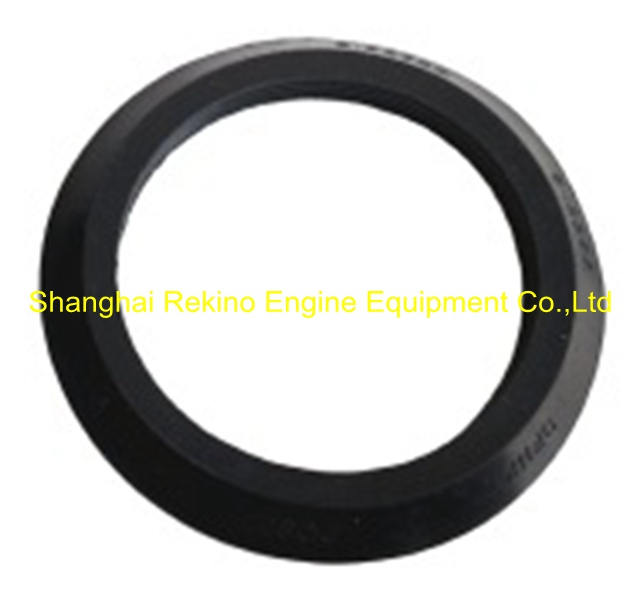 3160924 Dush seal KTA19 Cummins engine parts
