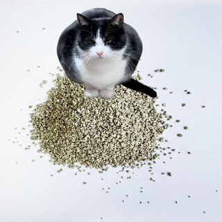 Cat Litter