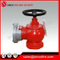 Fire Fighting Indoor Fire Hydrant Made in China