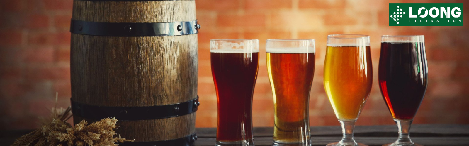 craft beer filtration supplier-loongfiltration proveedor de filtración de cerveza artesanal-loongfiltración