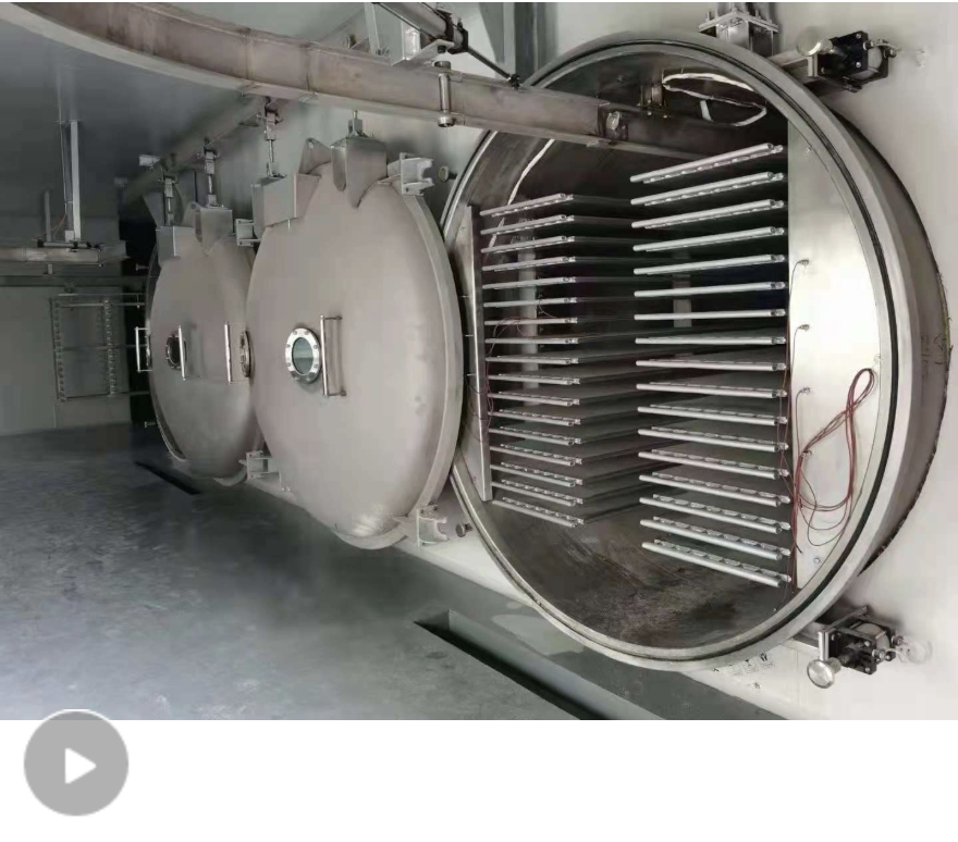 Large-Scale Food Freeze Dryer for Sale Продажа крупномасштабной сублимационной сушилки для пищевых продуктов