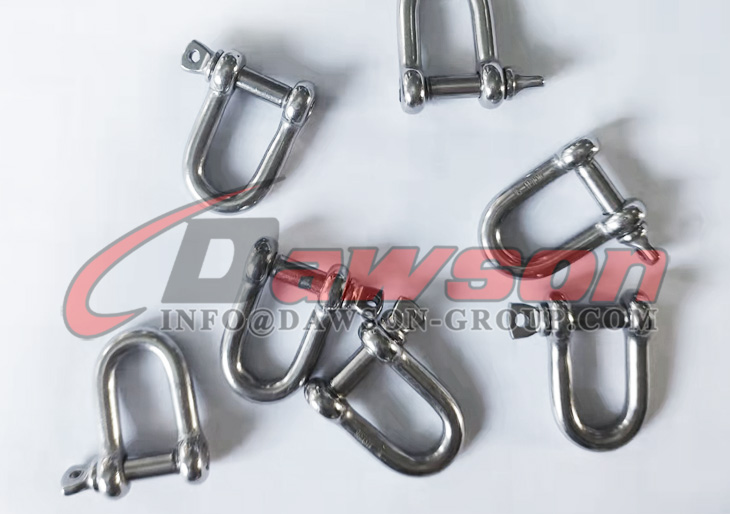 Grillete tipo Dee europeo de acero inoxidable - Dawson Group Ltd. - Fabricante, proveedor y f&aacute;brica de China
