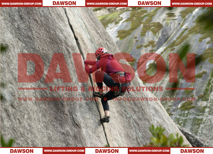 طلب للحصول على حلقة تسلق السلامة DAWSON - Dawson Group Ltd. - الشركة المصنعة في الصين، المصنع