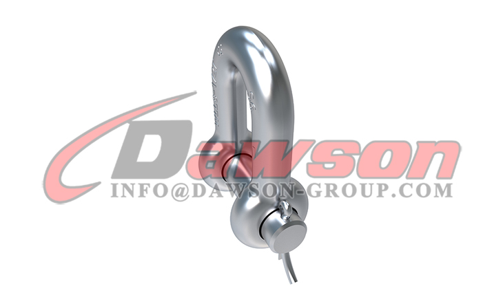 Grilletes en forma de D con pasador redondo DS122 para elevaci&oacute;n - Dawson Group Ltd. - Proveedor, fabricante y f&aacute;brica de China