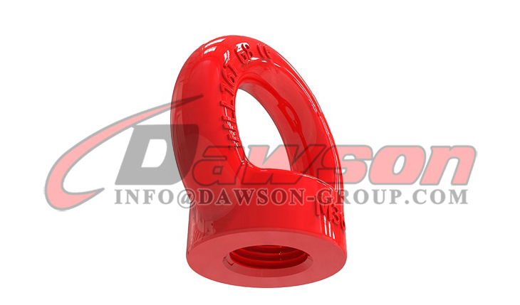 DS055 リフティング用アイナットリギング - Dawson Group Ltd. - 中国メーカー、工場