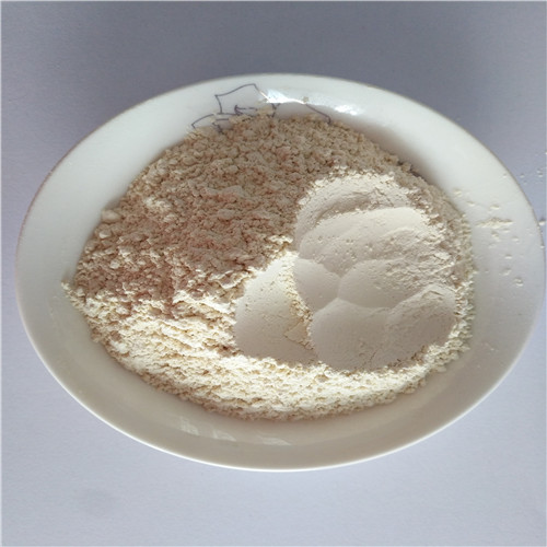 2019 dehydrated garlic powder