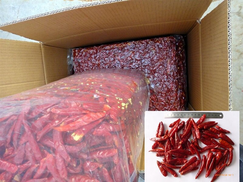 tianjin chili in 5lb vacuum bag