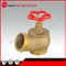 Fire Hose Landing Valve F (NPT) X M (NST)