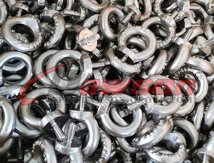 Perno de argolla para m&aacute;quina SS AISI316 DIN 580 - Dawson Group Ltd. - Fabricante, proveedor y f&aacute;brica de China