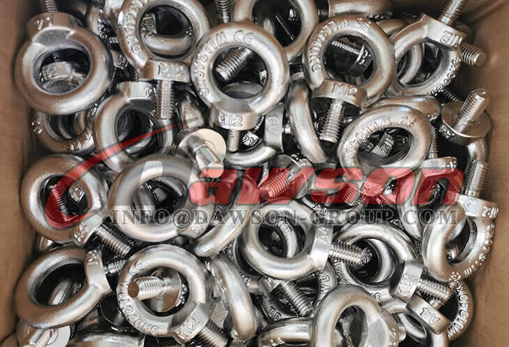 Perno de ojo de acero inoxidable AISI316 DIN 580 - Dawson Group Ltd. - Fabricante, proveedor, f&aacute;brica de China