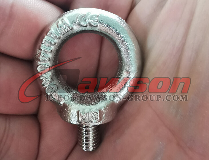M8 SS316 DIN 580 アイボルト - Dawson Group Ltd. - 中国メーカー、サプライヤー、工場
