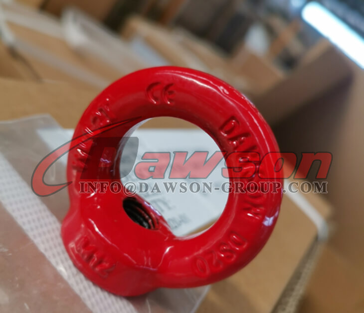 リフティング用アイナットリギング - Dawson Group Ltd. - 中国メーカー、サプライヤー、工場