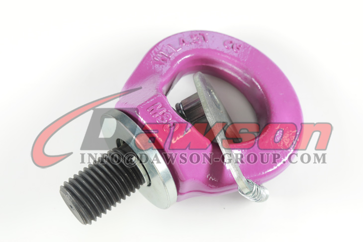 Anel de talha girat&oacute;ria com novo design DS902 G80, pontos de eleva&ccedil;&atilde;o - Dawson Group Ltd.