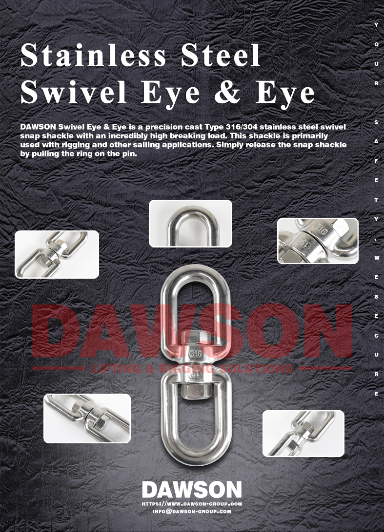 ステンレス鋼スイベルアイとアイ - Dawson Group Ltd. - 中国メーカー、サプライヤー、工場