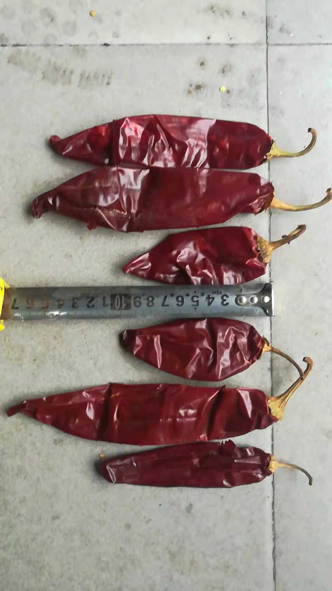 second grade whole paprika less than 12cm 5%