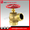1.5" or 2.5" Brass Fire Hydrant