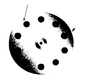 floating fish feed pellet machine4 floating fish feed pellet machine4