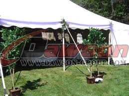 アプリケーションの自動タイダウン