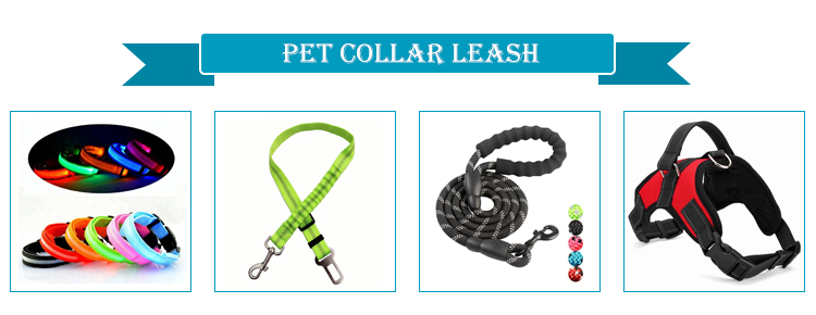 Pet-Collar-Leash