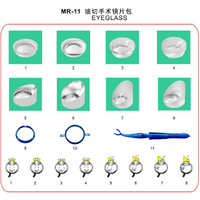 Conjunto de lentes MR-11 Landers para vitrectomia