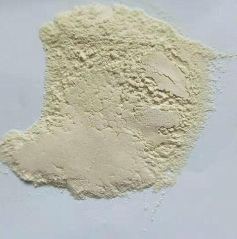 Function and efficacy of dehydrated Chinese garlic powder